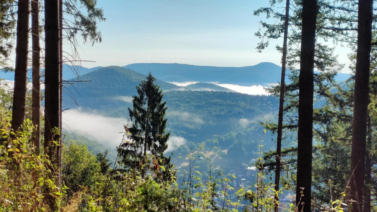 Hébergement de vacances Pour 2 Wingen